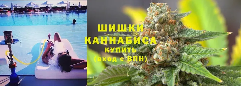 блэк спрут как зайти  Кирсанов  Конопля Bruce Banner  купить закладку 